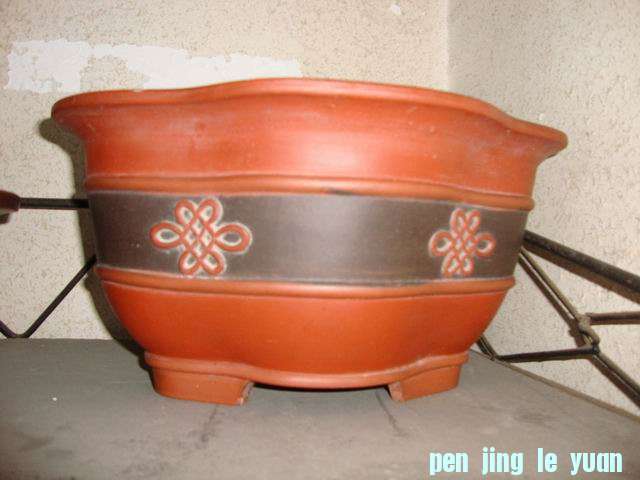 С DSC00484.JPG