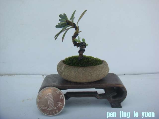 DSC03305.JPG