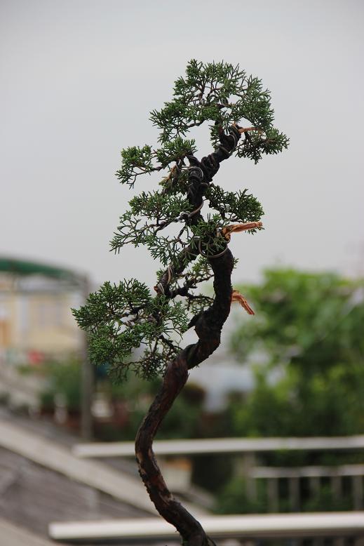 Ƭ 005.jpg