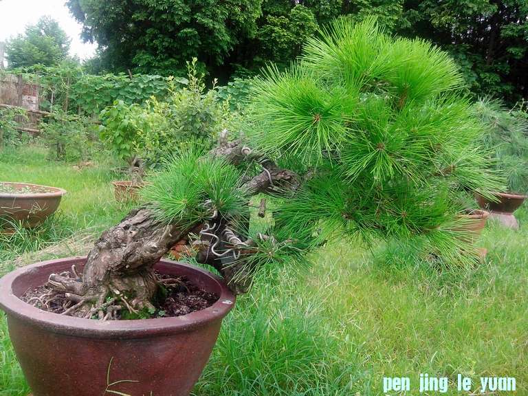 IMG_20120628_142117.jpg
