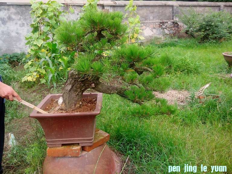 IMG_20120628_142419.jpg