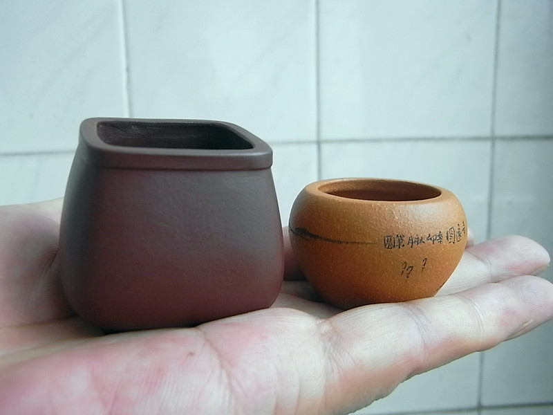 RIMG2790_.jpg