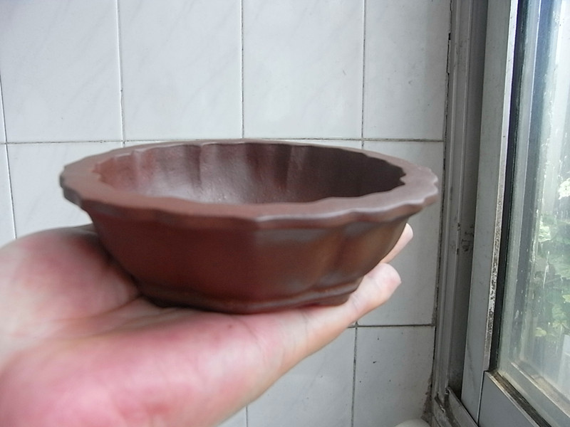 RIMG2792_.jpg