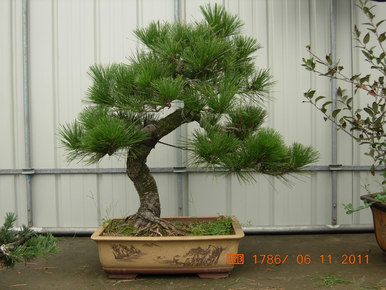 DSCN4513.JPG