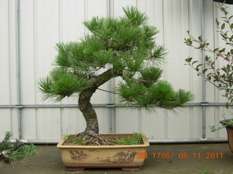 DSCN4512.JPG