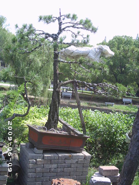PHOT0091.JPG