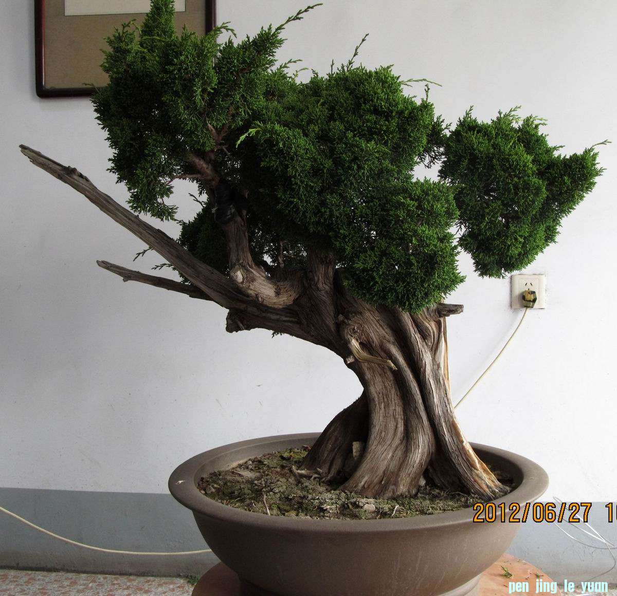 Ƭ 048.jpg