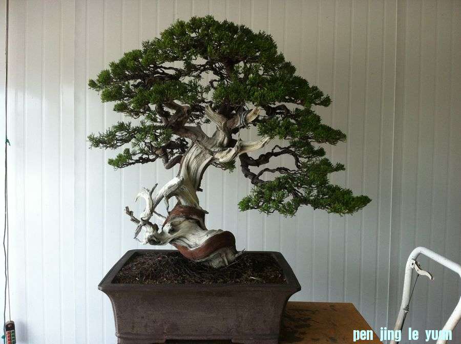 ҵ辰 022.jpg