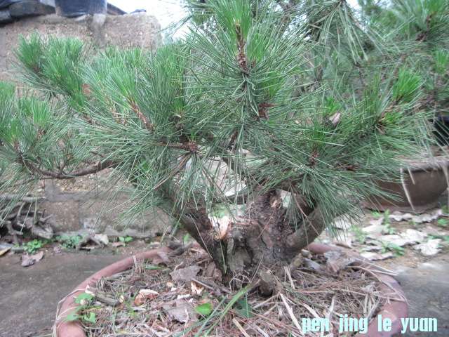 20120704Ժɼ֦֦ 005.jpg