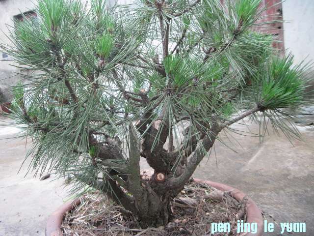 20120704Ժɼ֦֦ 008.jpg