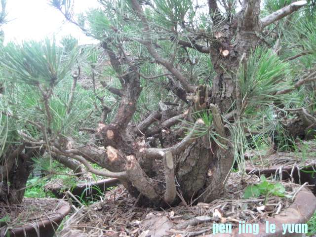 20120704Ժɼ֦֦ 023.jpg