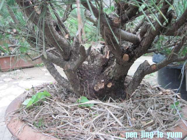 20120704Ժɼ֦֦ 026.jpg