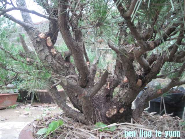 20120704Ժɼ֦֦ 027.jpg