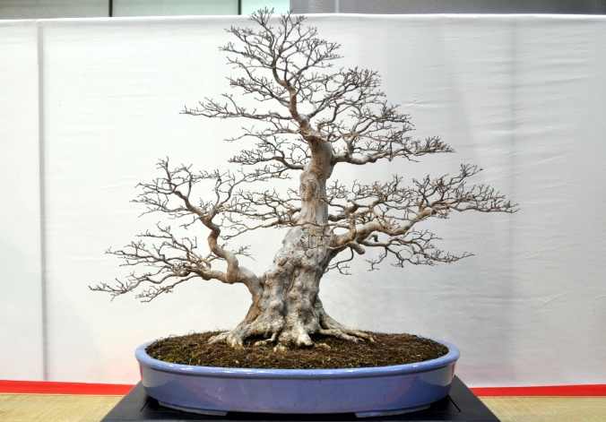 120 e.jpg