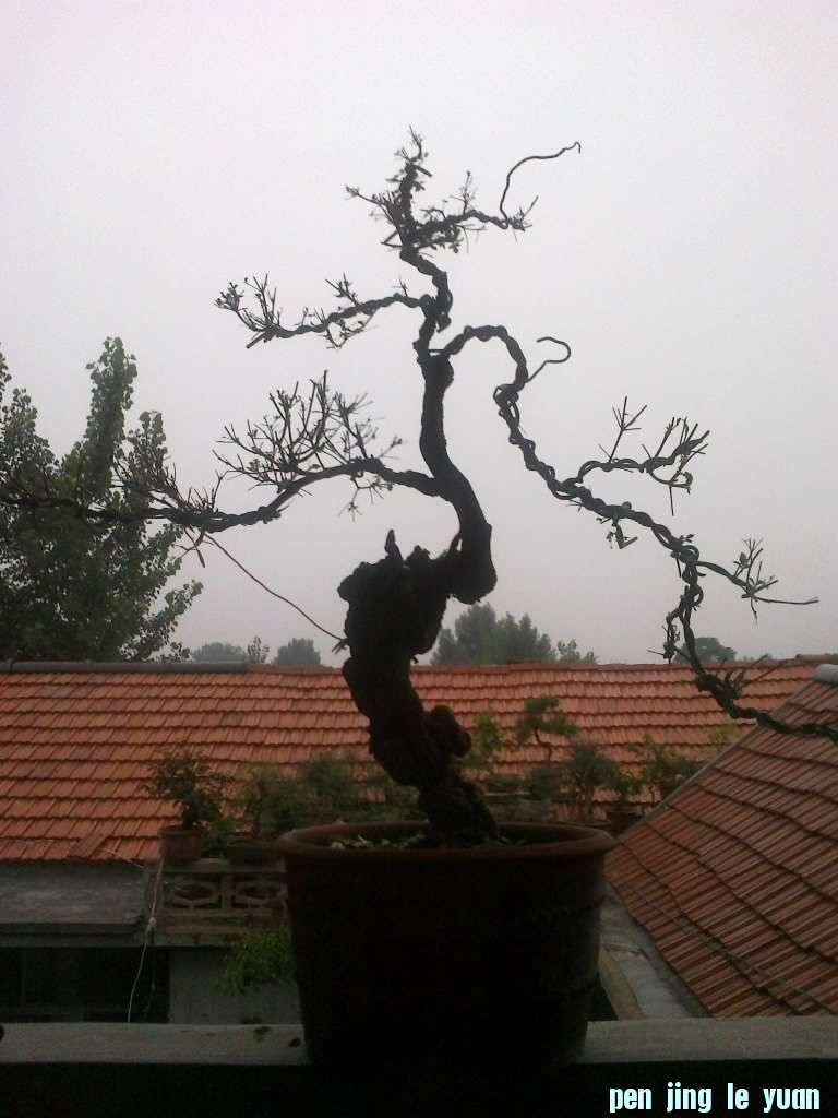 201207041448.jpg