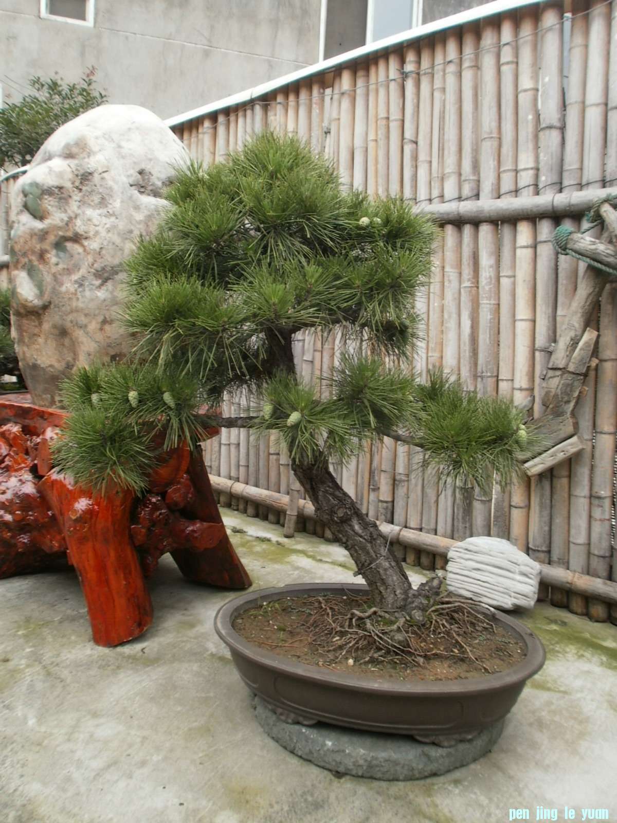 P1010066.jpg