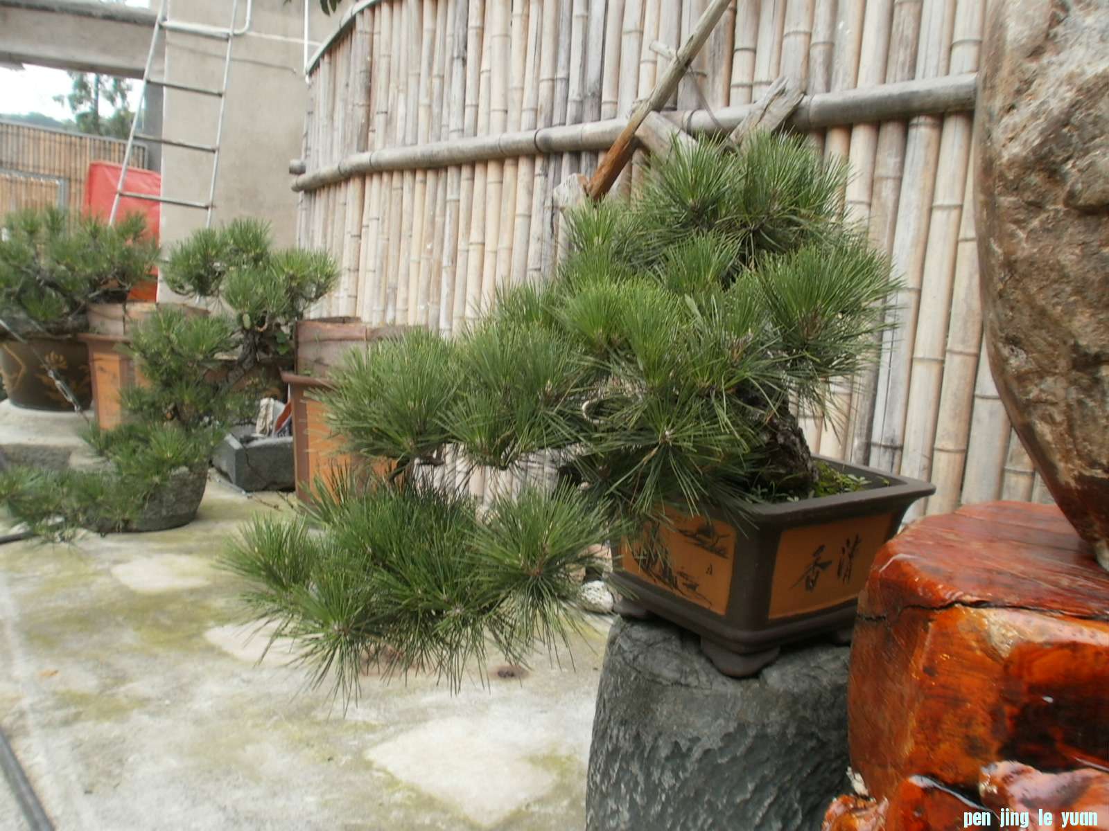 P1010068.JPG