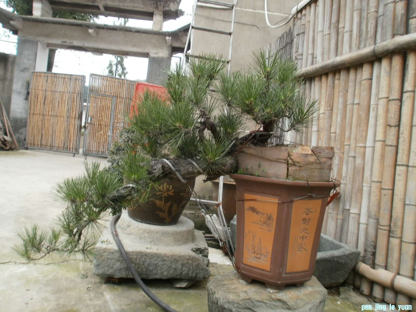 P1010070.JPG