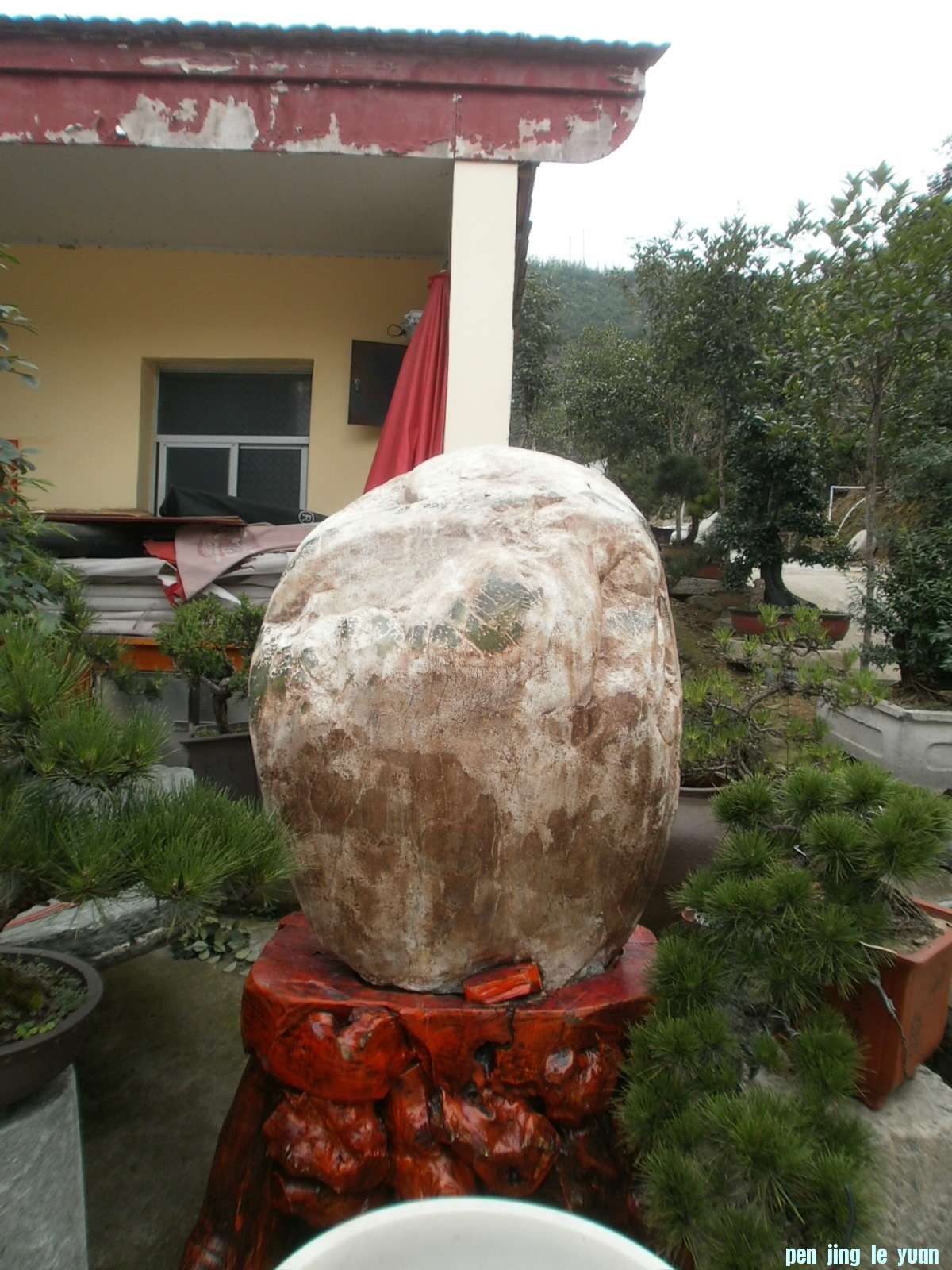 P1010072.jpg