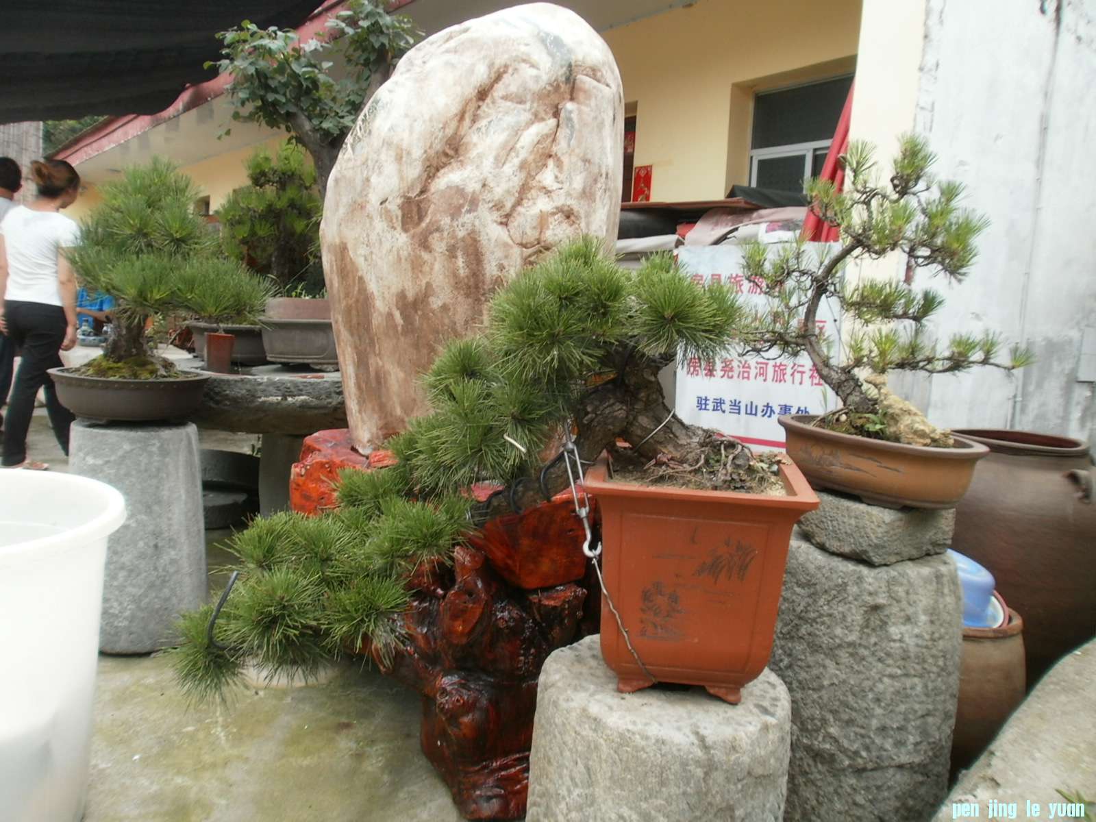 P1010075.JPG