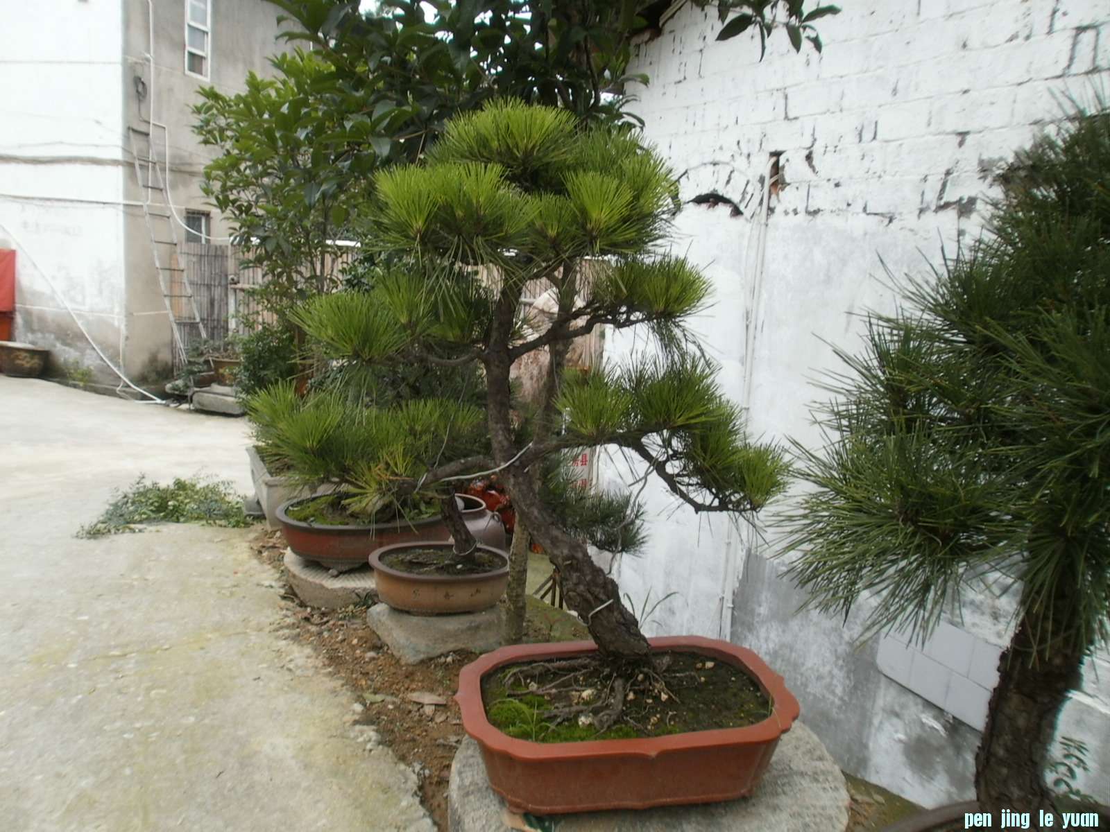 P1010078.JPG