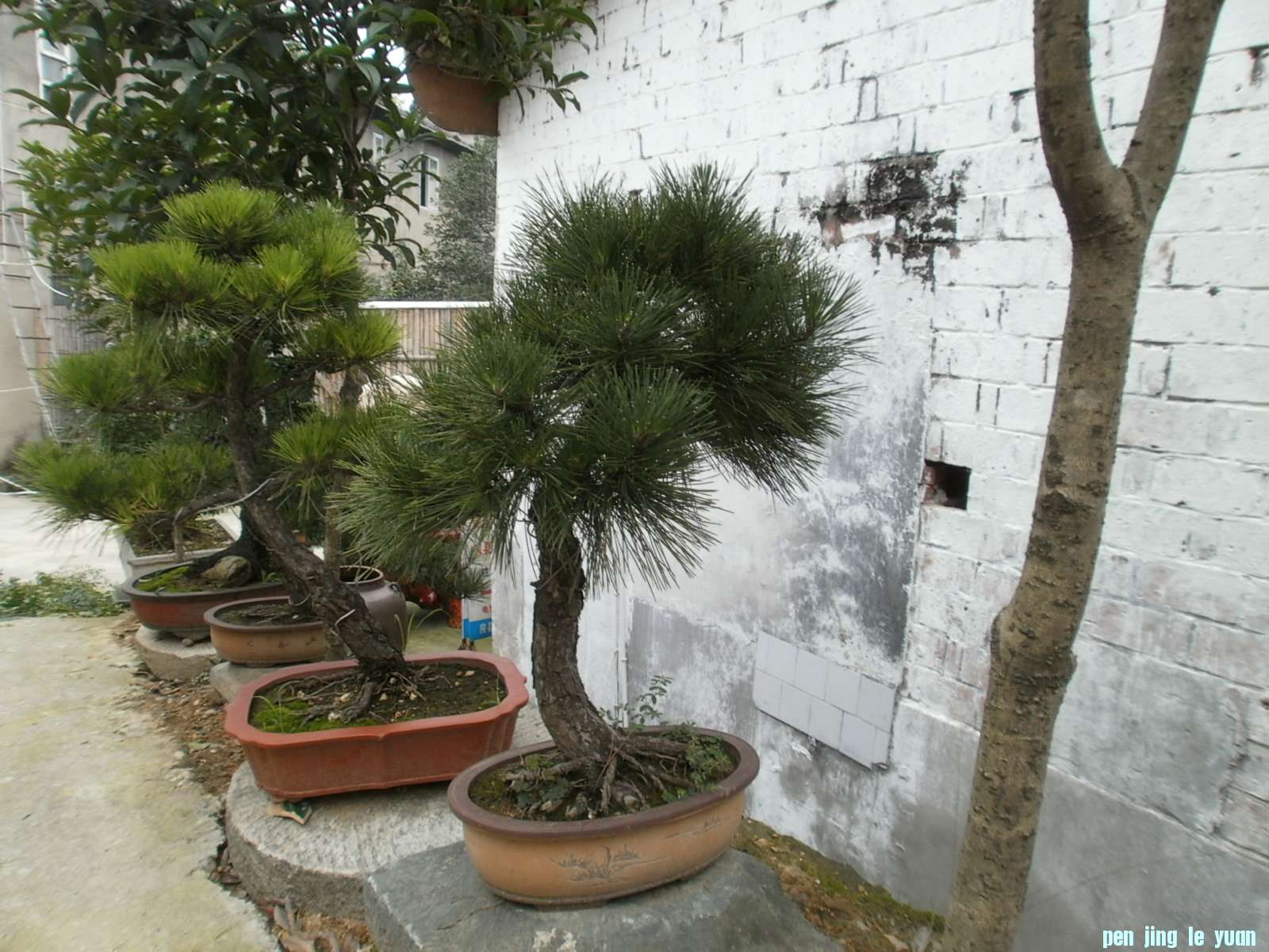 P1010079.JPG
