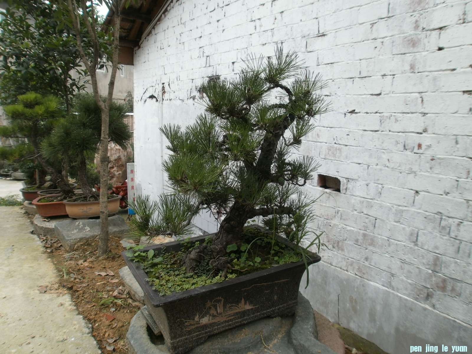 P1010080.JPG