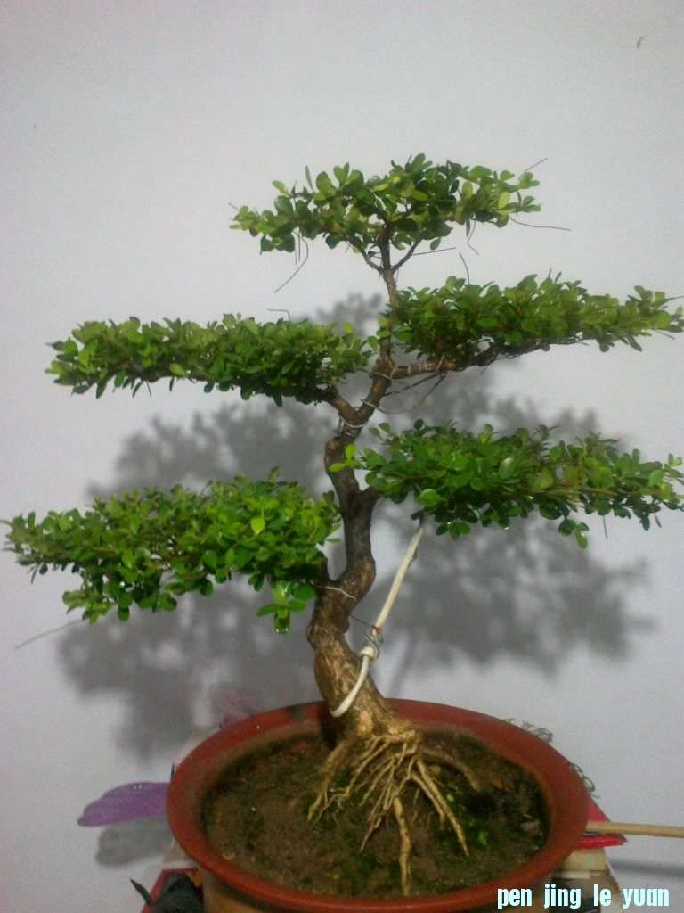 201207081458.jpg