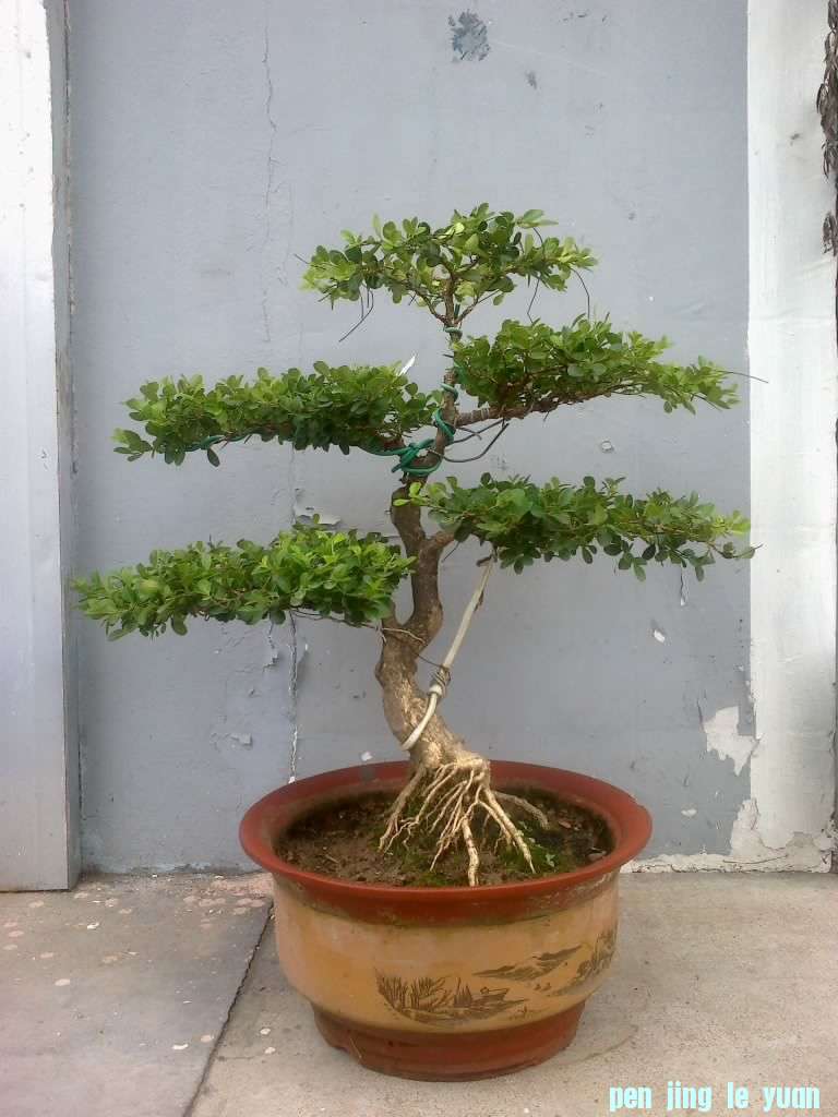 201207091467.jpg