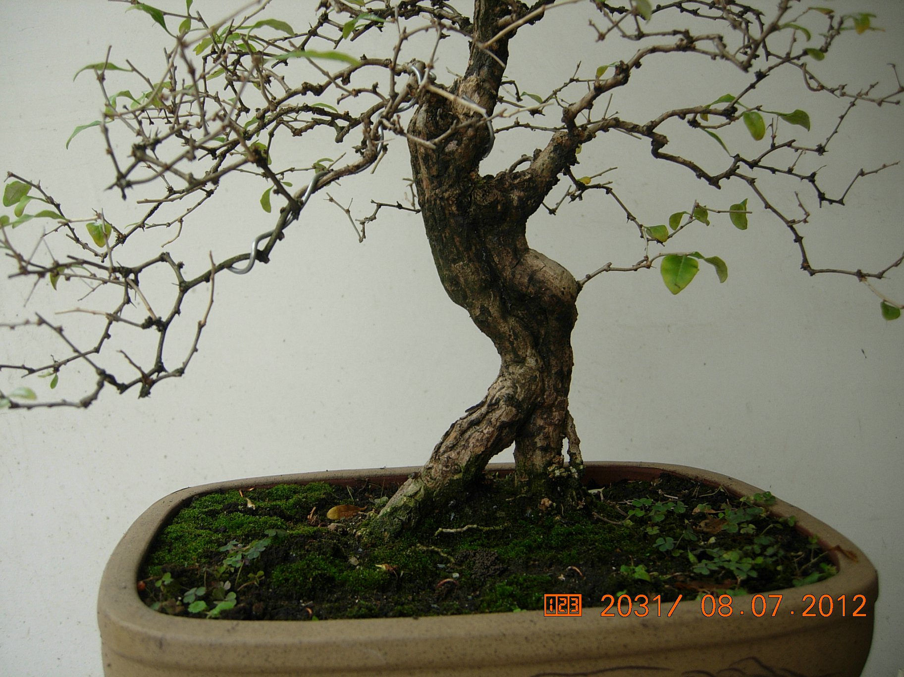 DSCN6261.JPG