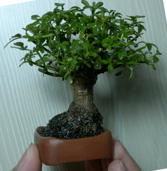 201207101288.jpg
