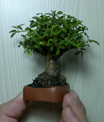 201207101289.jpg