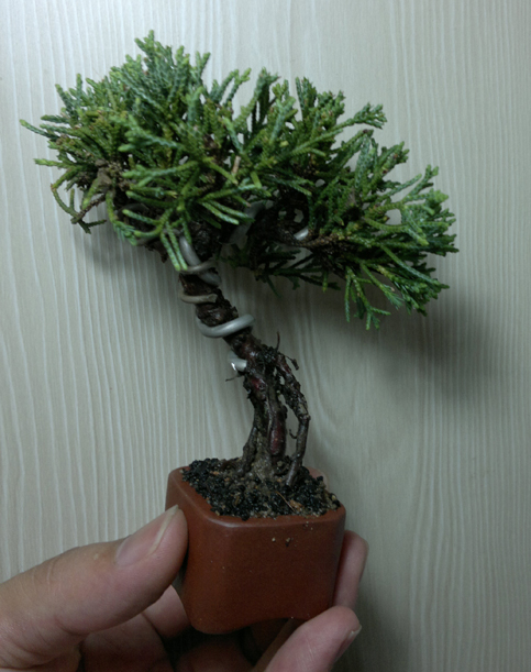 201207101290.jpg