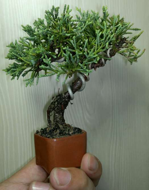 201207101291.jpg