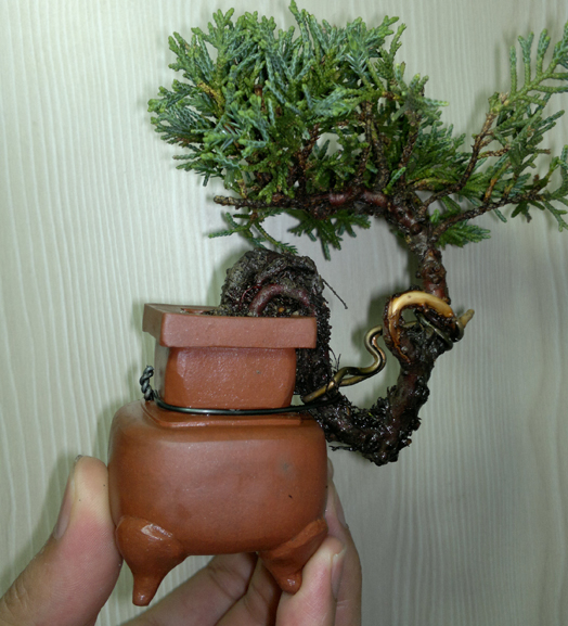201207101292.jpg