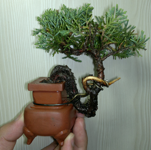 201207101293.jpg