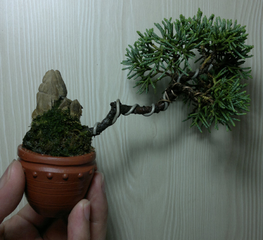 201207101296.jpg