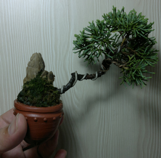201207101297.jpg