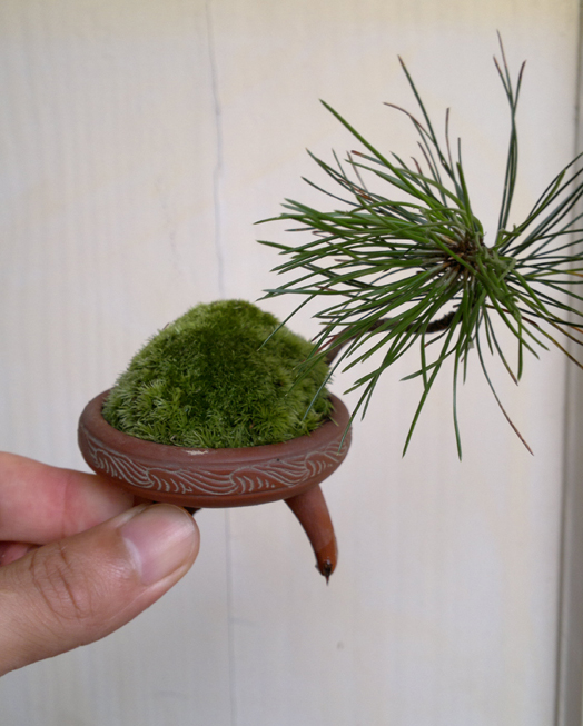 201206261213.jpg