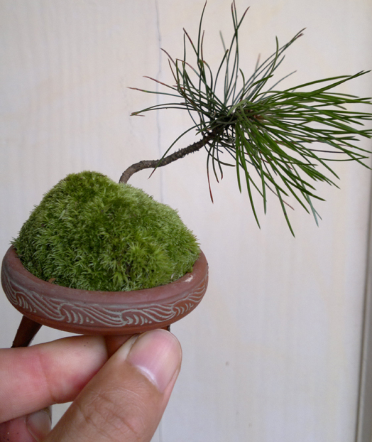 201206261214.jpg