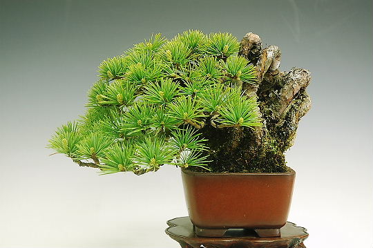 1 (20).jpg