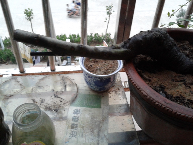 2012-07-11 19.19.19.jpg
