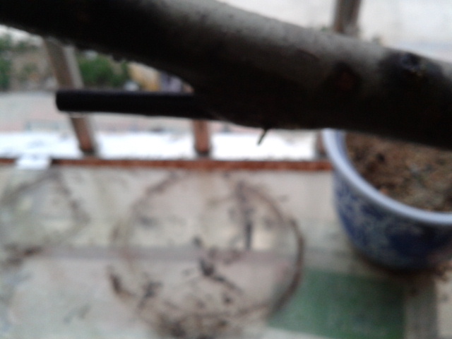 2012-07-11 19.19.29.jpg