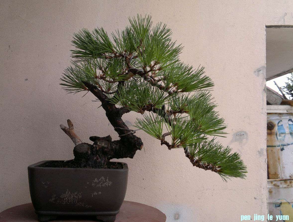 20120713297.jpg