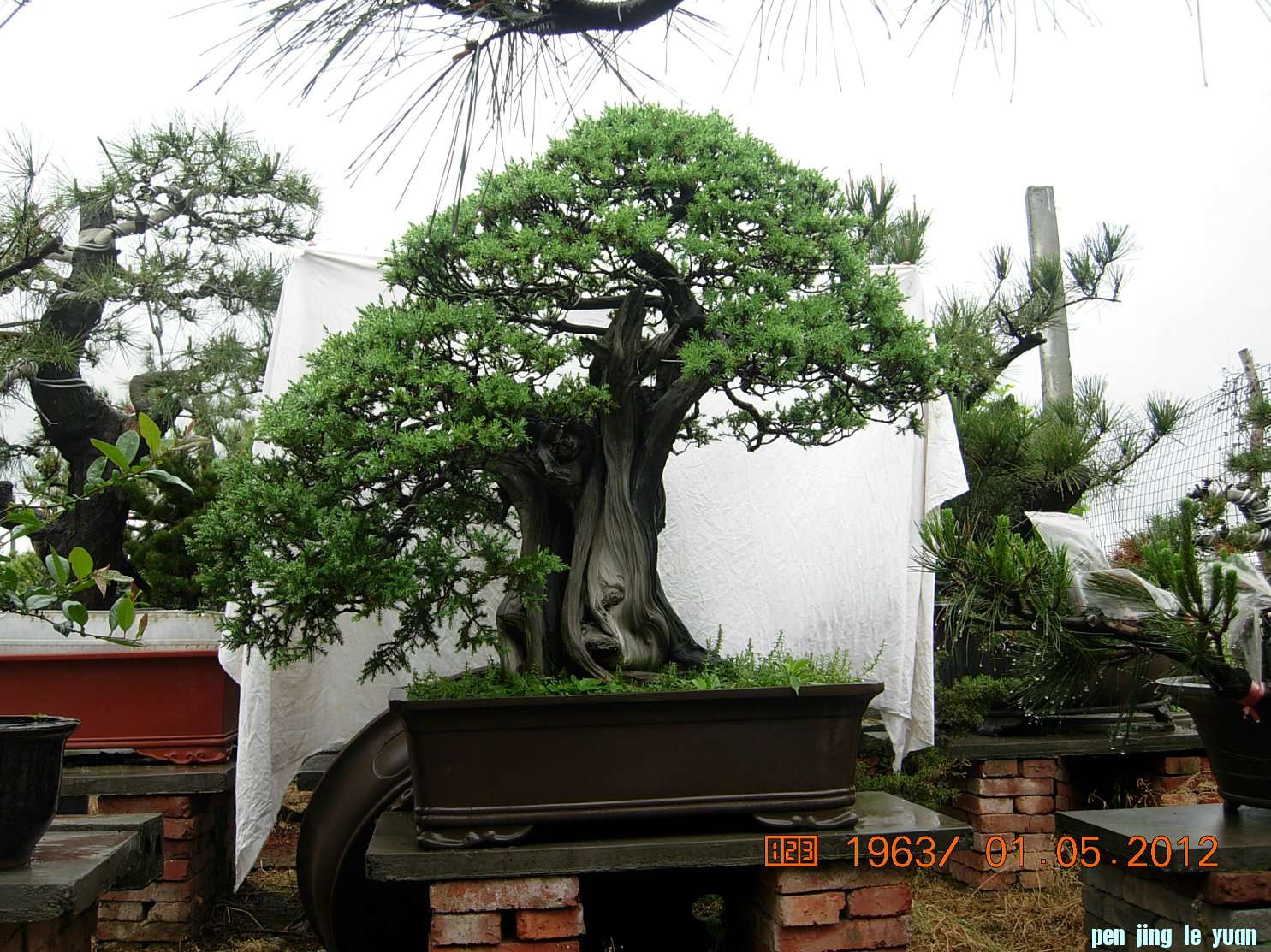 DSCN6023.JPG