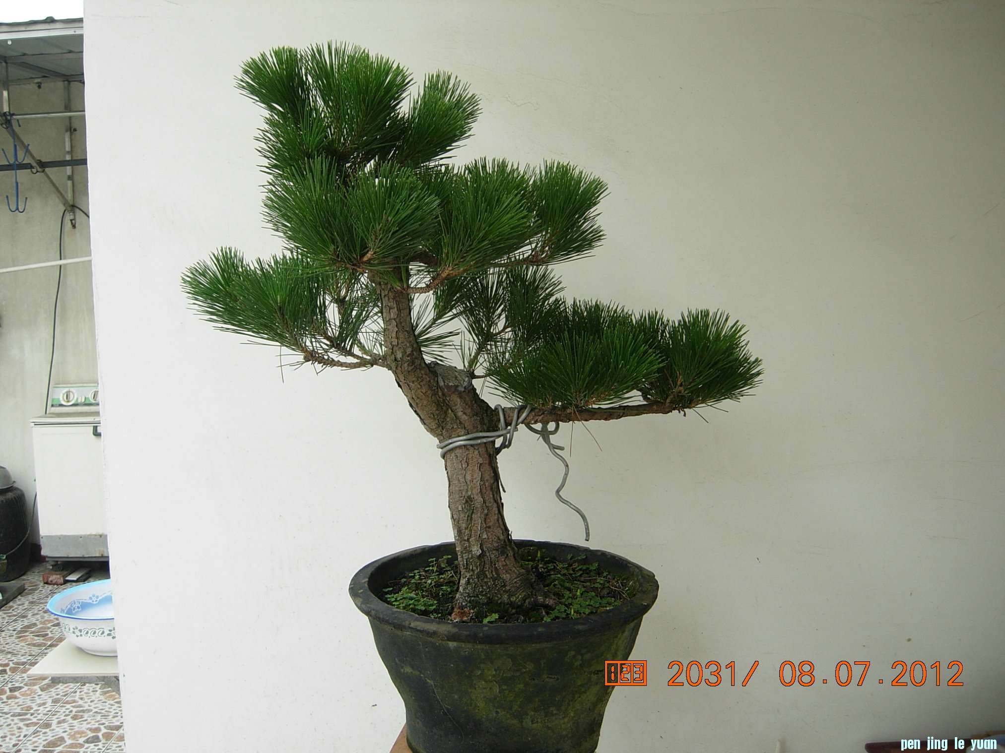 DSCN6264.JPG