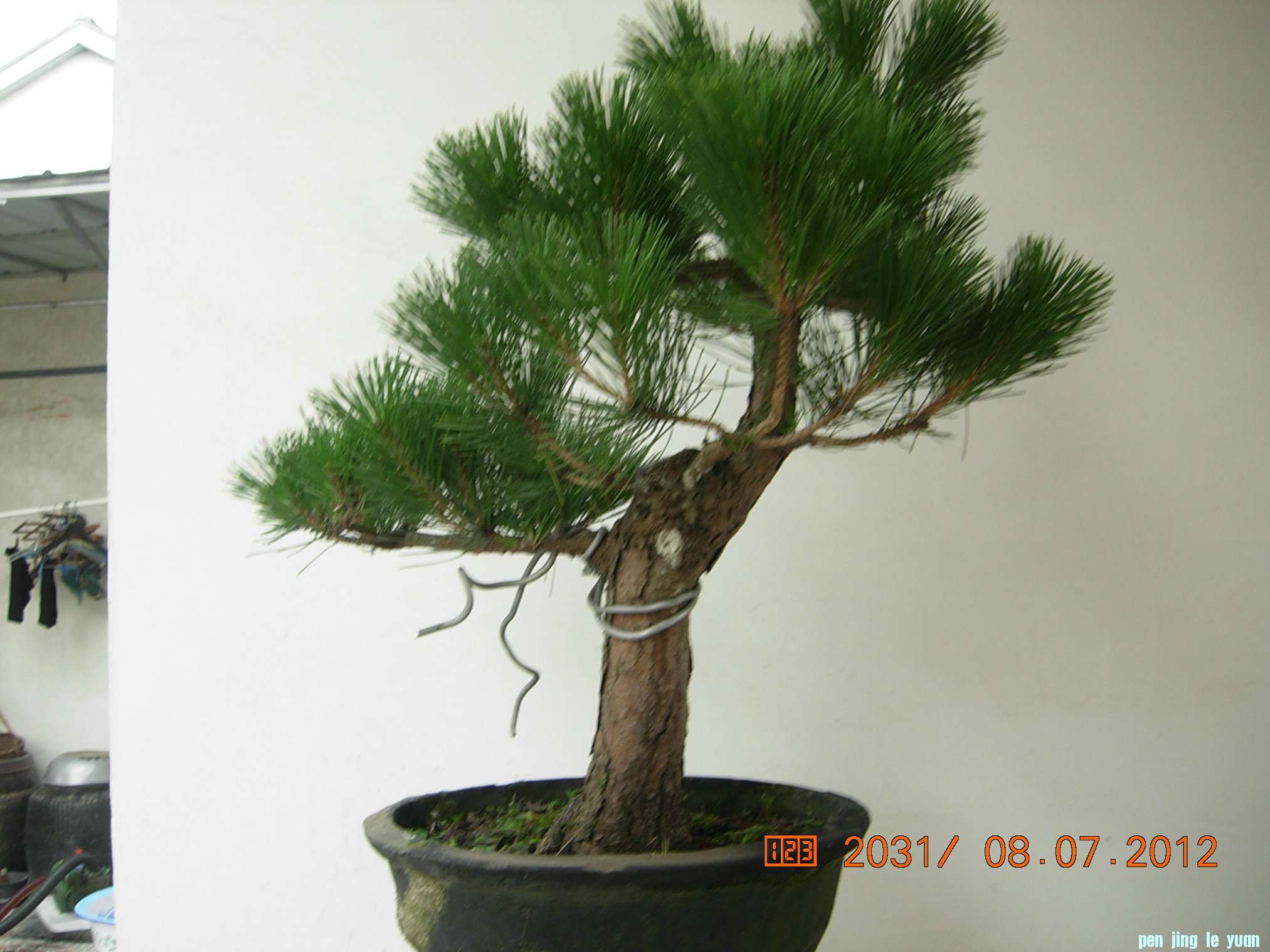 DSCN6265.JPG