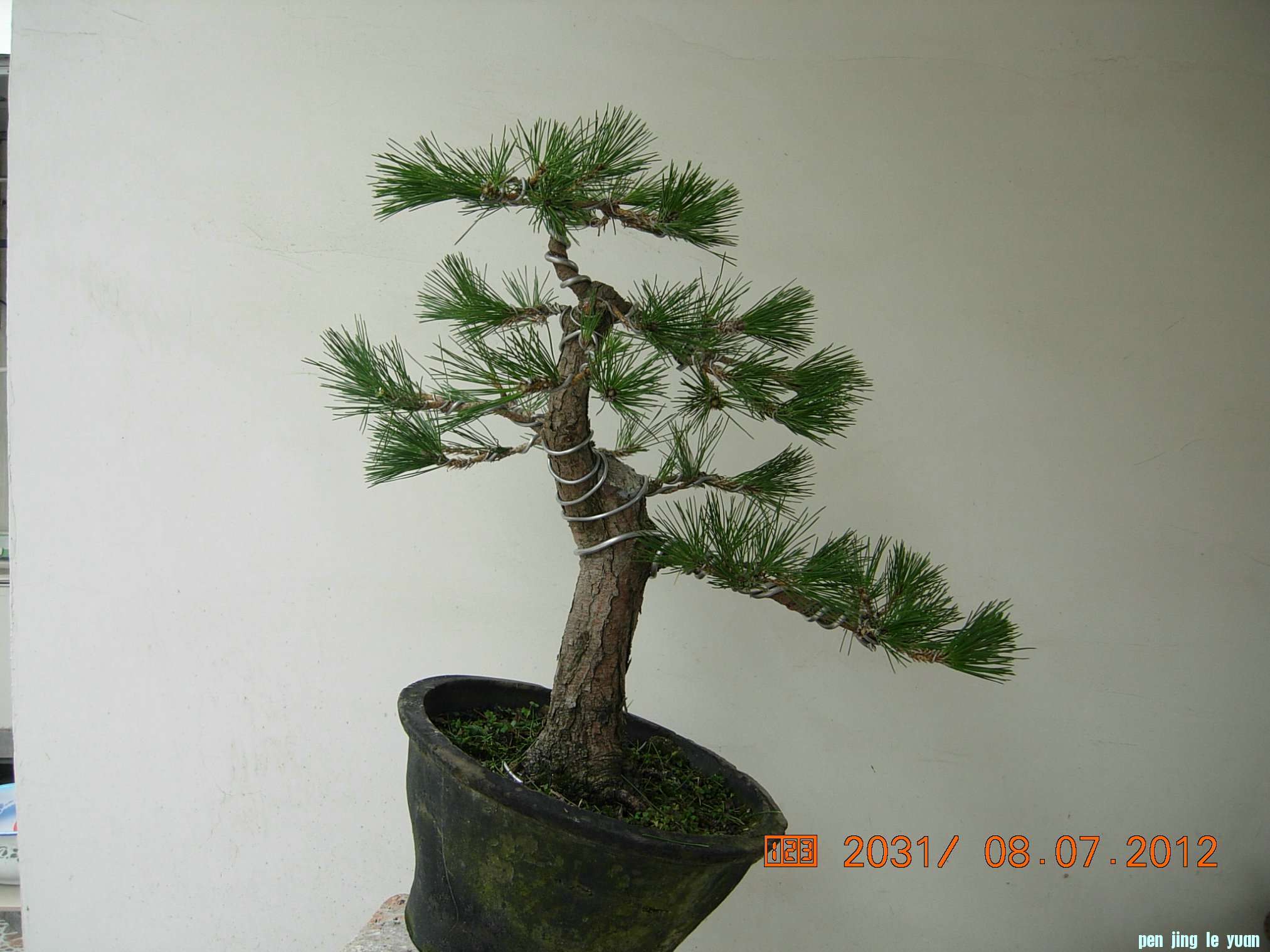 DSCN6267.JPG