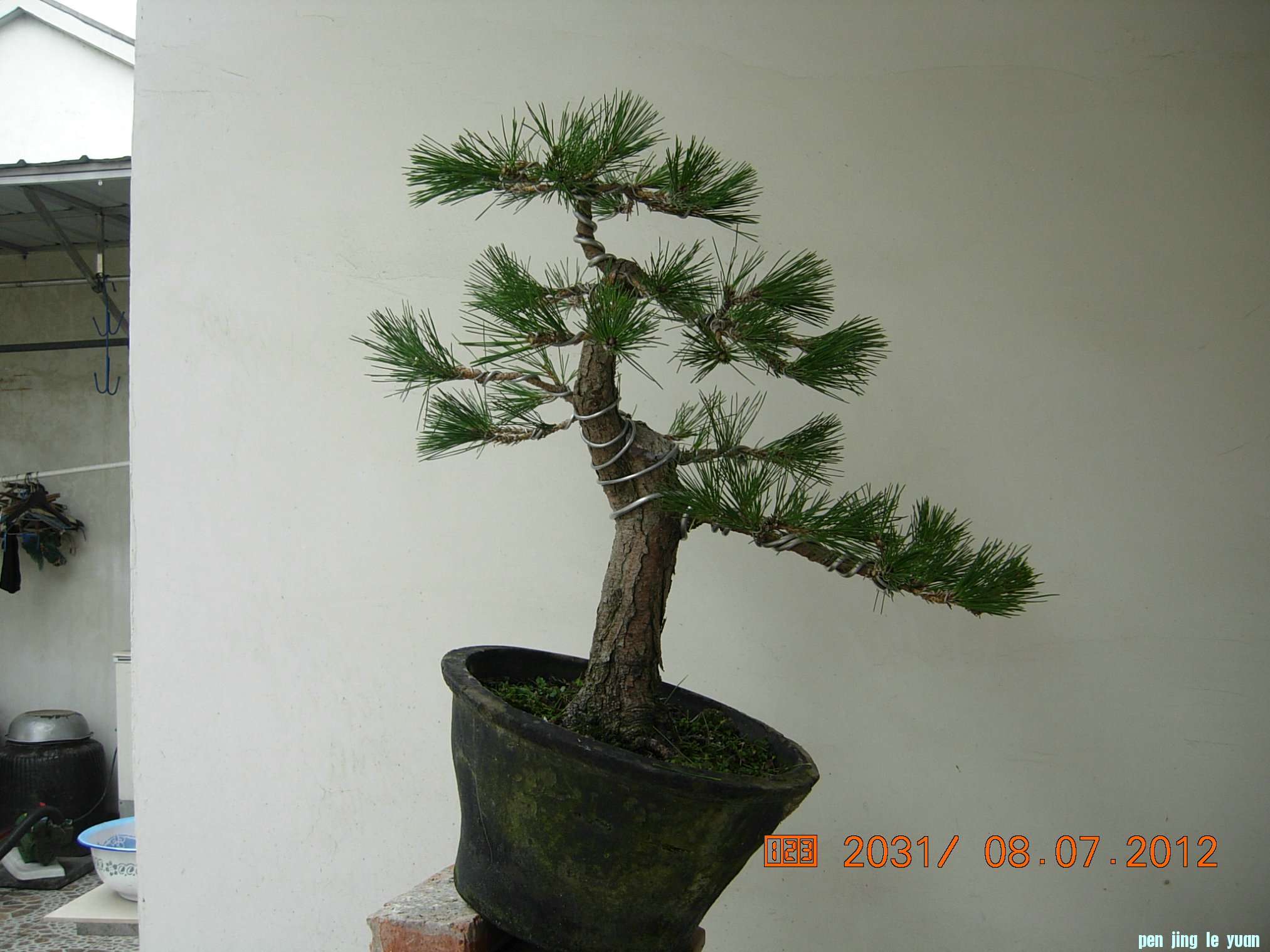 DSCN6268.JPG