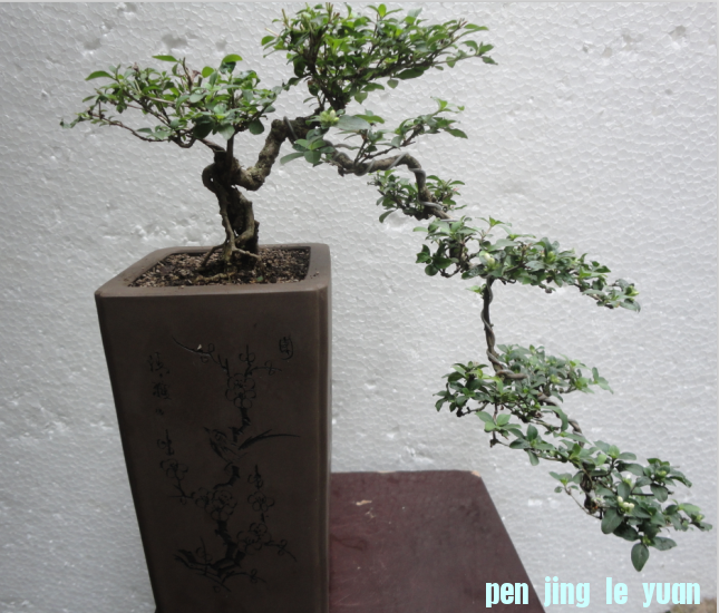 QQͼ20120713202440.png
